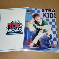 straykids ラントレ バンチャン SKZ TOY WORLD