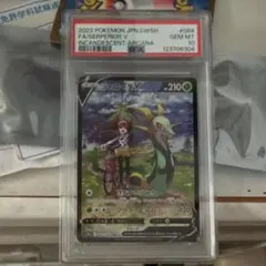 2026年最新】ジャローダv csr psa10の人気アイテム - メルカリ