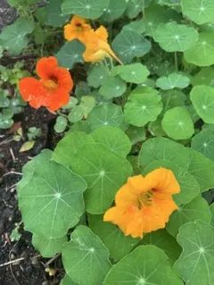 ⬜︎⬜︎⬜︎様専用