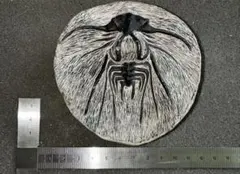 チェコ産 三葉虫化石 Acanthalomina minuta チェコ産 三葉虫化石 Acanthalomina minuta - メルカリ