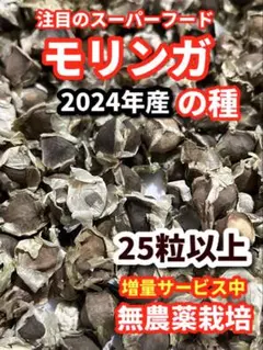 Marichan様 リクエスト 2点 まとめ商品