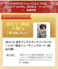 ヤ*す様 THERAMPAGE 長谷川慎　BREAK IT DOWN 楽天ラキド