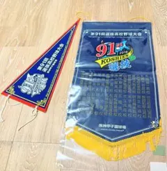 第57回選抜高校野球大会 記念ペナント まとめ売り バラ売り対応可