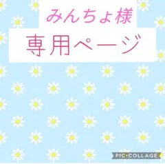【オーダー】みんちょ様専用ページ　ネイルチップ