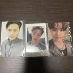 SEVENTEEN FACE THE SUN 特典トレカ ディノ