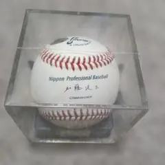 Item thumbnail for item 976dc70f-03d8-4a95-86cc-8ceeead6f6a2