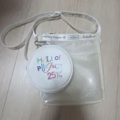 Item thumbnail for item 25105310-d6c5-4841-bbe0-ecd47ce2cf16