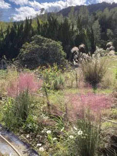 shige chiba様 リクエスト 2点 まとめ商品