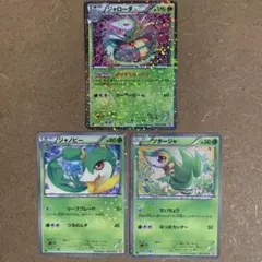 【シャイニーコレクション】ジャローダ・ジャノビー・ツタージャ進化ライン SC