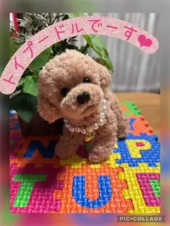 モールアート　モール犬　トイプードル　アプリコット色のサムネイル