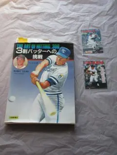 読売巨人軍 王貞治バッティングホーム 堀内選手ピッチングホーム