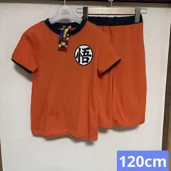 Item thumbnail for item c267b2bd-2d6c-4108-8c3c-606974f87b6e