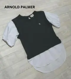 ARNOLD PALMER カットソー 切り替え シャツ M トップス