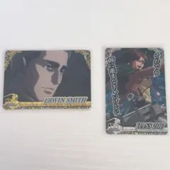 進撃の巨人 ハンジ&エルヴィン