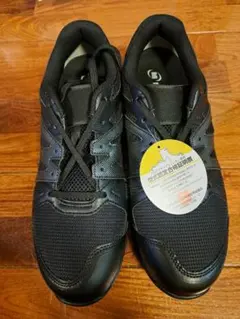 Item thumbnail for item 2e9b3428-0244-4444-8da5-867b3a58c24e