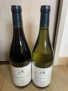 2本セット 自然派ワイン モーペルチュイ ネイロー 赤 750ml - メルカリ