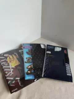 Item thumbnail for item 4cc3796f-5a1a-4d61-9bf9-ba02d501d514