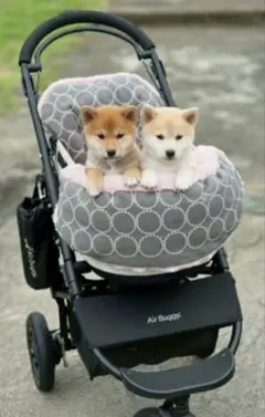 ❤あご乗せクッション❤ペットカートコンフォーター❤grey✕pink