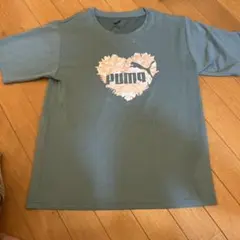 Item thumbnail for item 999d48a8-9576-4af8-94f5-3997f116e2eb