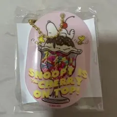 PEANUTS シャカシャカキーホルダー　スヌーピー