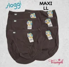 トリンプ スロギー MAXI LLサイズ6枚セット　焦茶色系のサムネイル