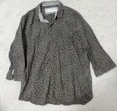 Item thumbnail for item d4605795-0029-4502-b129-b13d735e7e94