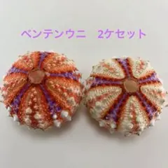 Item thumbnail for item fe91b2e4-6c73-442c-b737-9722535be367