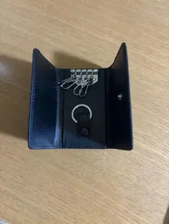 Item thumbnail for item 1a8f2607-784b-4954-ae4d-db5f11335b3f