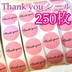 サンキューシール250枚 T-15 ピンク シンプル thank you ハート