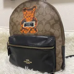 希少COACH コーチ　f76657 ヴァンダル・ガミー バックパック