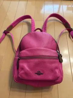 希少 COACH×キースヘリング コラボ リュック ユニセックス 廃盤品