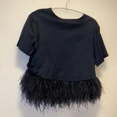 LE CIEL BLEUのサムネイル