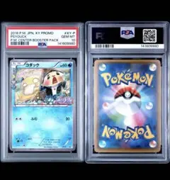 コダック psa10 xy-p ポケキュンコレクション キャンペーン 増田順一 PSA10 XY-P コダック_ポケキュンコレクション 増田順一 コラボ 【公式