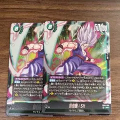 2026年最新】孫悟飯sh ビーストの人気アイテム - メルカリ