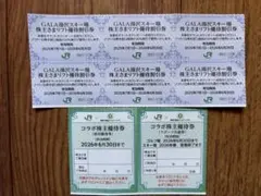JR東日本株主優待割引券　セット　ガーラ湯沢スキー場　コラボ宿泊優待券　他