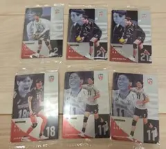 バレーボール日本代表ウエハース カードセット