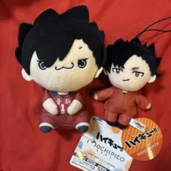 ハイキュー!! もちぴこ ぬいぐるみ マスコット 黒尾鉄朗 音駒