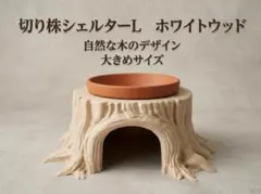 切株風ウエットシェルターL［ホワイトウッド］ワイド水皿のサムネイル