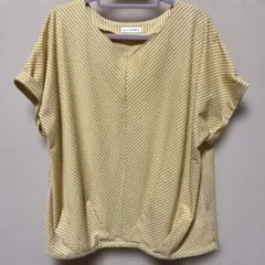 a.v.v standard 半袖カットソー　Lのサムネイル