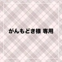 がんもどき様専用