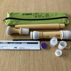 Item thumbnail for item 98df6276-3e9c-4655-9283-ccdaa729f40f