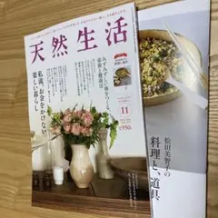 Item thumbnail for item 6ce8bcb4-3755-4160-ab73-acf94f1cbc3b