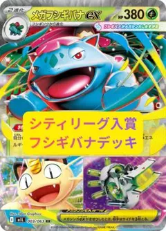 シティリーグ入賞　メガフシギバナexデッキ　構築済み