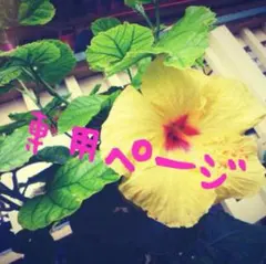 もか様専用ページ