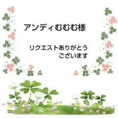 アンディむむむ様 リクエスト 2点 まとめ商品