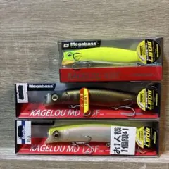 未使用品】DTスイマー 6点セット（deps ×常吉）コラボ製品 - メルカリ