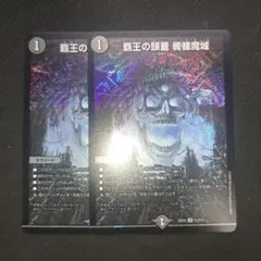 覇王の頭蓋 髑髏魔城　ドクロ