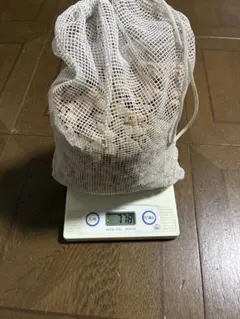 2026年最新】パワーハウス ソフトタイプ mの人気アイテム - メルカリ