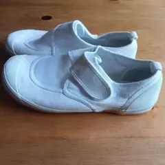 Item thumbnail for item 8686b308-1372-473b-be4a-fa9fe5beb00b