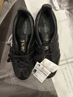 ガゼルインドア　25cm IF1978